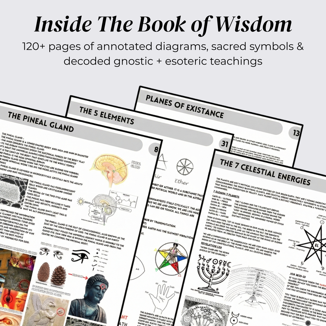 The Book Of Wisdom