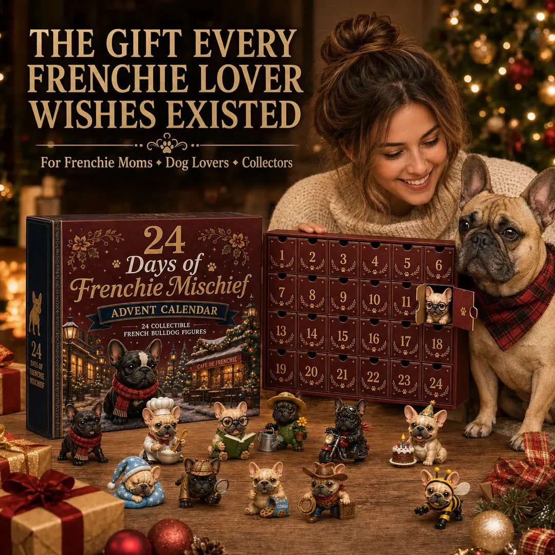🐶 Calendrier de l’Avent Bouledogue Français 24 Jours – 24 Frenchies Uniques à Collectionner 🎄