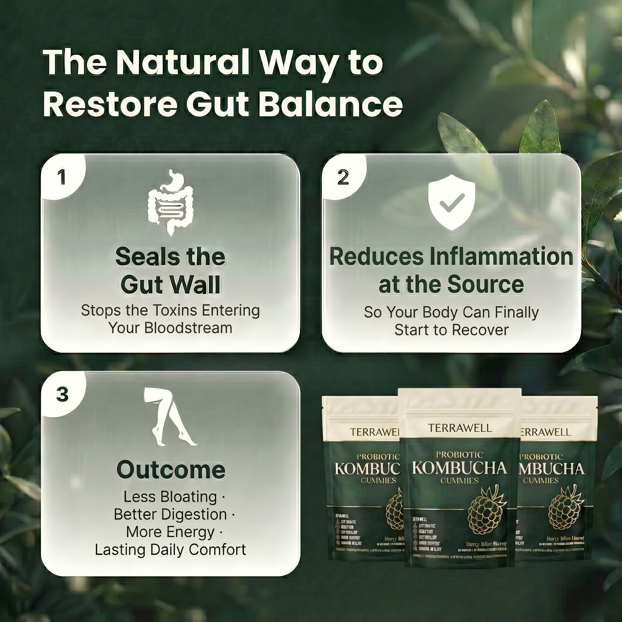 Kombucha Probiotic Gummies for Digestive Support