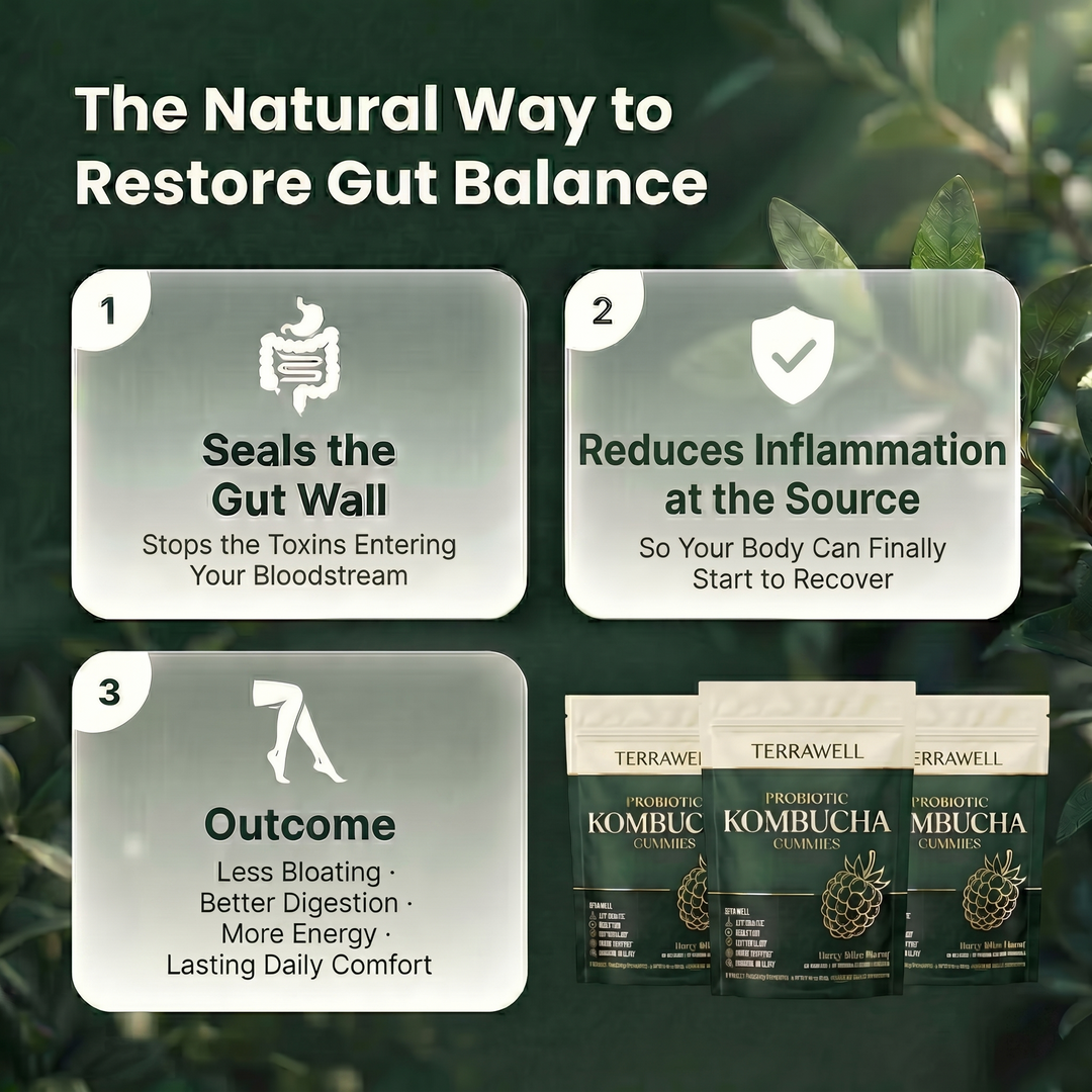 Kombucha Probiotic Gummies for Digestive Support