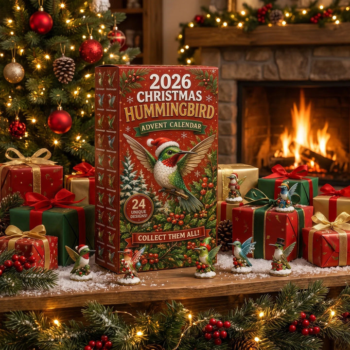 🐦🎄 Calendrier de l’Avent Colibris de Noël 2026 – Une Nouvelle Surprise Chaque Jour ✨